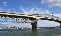 北岸大桥下到底有无重金属污染？奥克兰市议会发布了最新评估报告