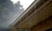 【看新西兰】新西兰房屋的雨水槽如何清理和维护