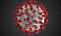 研究：英国发现的变异新冠病毒致死率“明显较高”