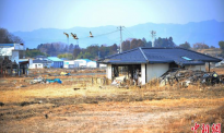 日本“3.11大地震”十周年祭：故人何在，梦魇仍存