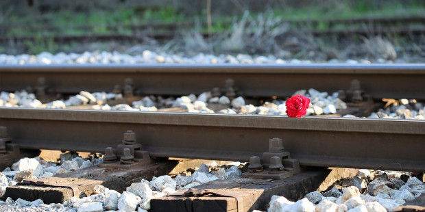 red rose on rail track 2780236 960 720 v2