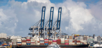 海运延误、国际供应链中断，新西兰哪些商品面临短缺？
