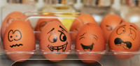 五家Countdown超市将停售笼养鸡蛋 三家在奥克兰