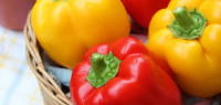 蔬菜价格创4年来最大涨幅！哪些菜价在涨涨涨？