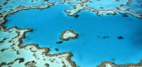 联合国考虑把大堡礁列为“濒危世界遗产” 澳政府强烈反对