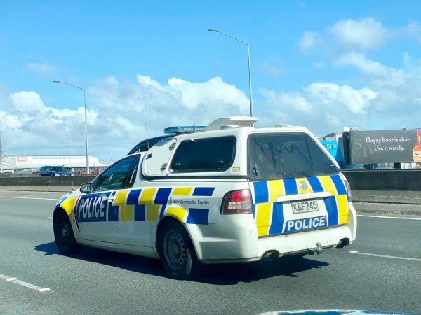 police car2