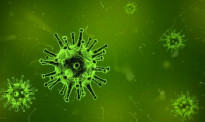 日本发现能传染人类新病毒：可致39度高烧，已致数人感染