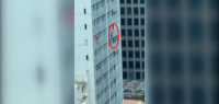 惊呆...奥克兰市中心高层公寓外，一名男子从10楼阳台往下爬