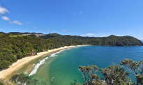 【先驱自媒】新西兰人又众筹买下最美海滩！网友直呼：全国人的圣诞礼物！