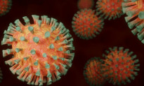 高传染性新冠病毒新种“XE”首次入境，日本进入第七波疫情