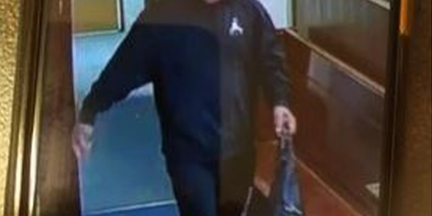 alleged handbag thief