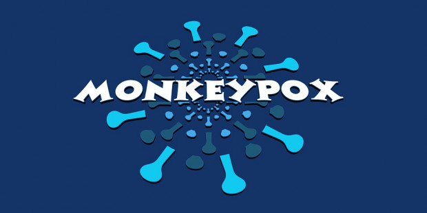 monkeypox 7219386 960 720 v2