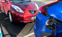四个多月来近2万辆低排放汽车获得政府补贴，有多少是全电动汽车？