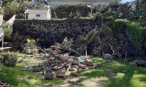 奥克兰豪宅业主砍了一棵树 被罚5.2万纽币
