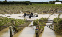 飓风致农场和作物大量被毁，食品供应和价格恐受严重影响