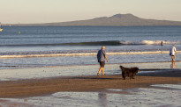 飓风过后，去海滩玩和遛狗的奥克兰人请避开一些地区