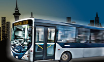 “每周4、5名公交司机辞职”，新西兰公共交通危机火上眉梢
