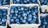经常吃蓝莓的人，身体会发生什么变化？