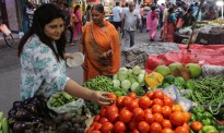 印度官员为解决西红柿价格高“支招”：都别吃，或者在家种