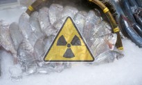 过去一年发现44条 福岛核电站港湾再现“辐射鱼”