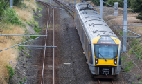 事故显著增加，多人死亡！新西兰铁路公司发布安全提醒