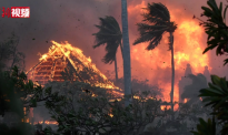 夏威夷野火遇难者升至110人 起火原因或涉及电力公司