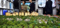 中国多地推出“以旧换新”购房政策，将对楼市产生哪些影响？