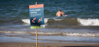 由于废水溢出，奥克兰多个热门海滩禁止游泳