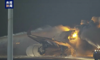 羽田机场飞机撞机18分钟全员逃离 猫狗丧生火海引发讨论