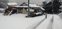 一名中国游客在日本掉落雪洞死亡