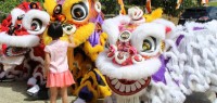 奥克兰中国春节活动汇总：大庆15天，精彩不停歇！
