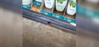 奥克兰这家超市也发现老鼠！视频曝光......