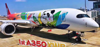 川航大熊猫飞机落地奥克兰机场，新中航线完全恢复！