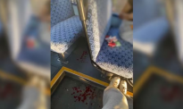 奥克兰公交车又发生流血事件 6名青少年持刀袭击2少女